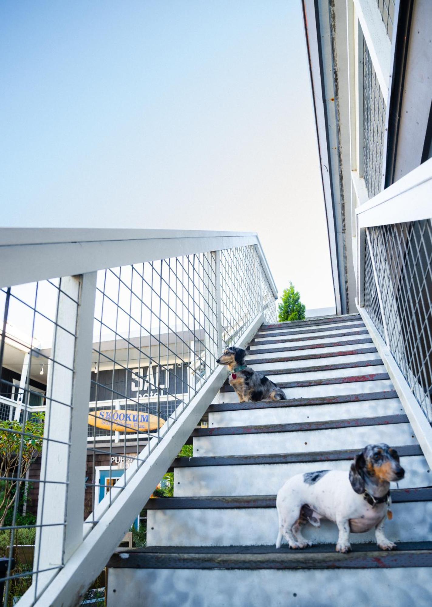 Salt Hotel & Pub Ilwaco المظهر الخارجي الصورة