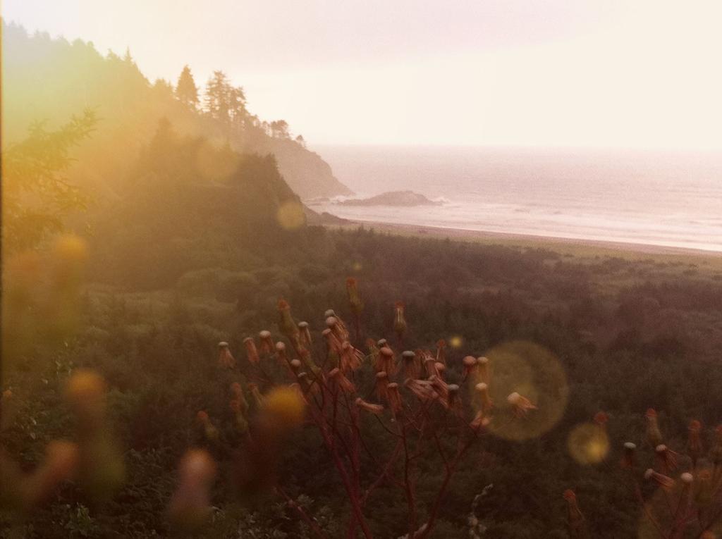 Salt Hotel Ilwaco المظهر الخارجي الصورة